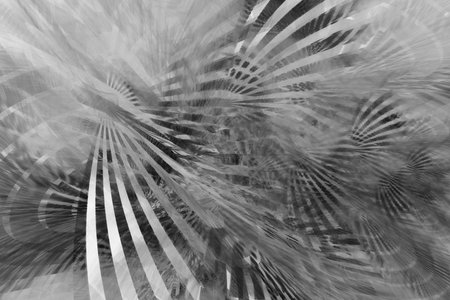 Digital abstract fractal background generated at computer in black and white.の写真素材
