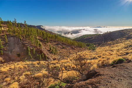 Landscape aerial view over valley and hills in sunset lights. Tenerife, Canary Islands, Spainの写真素材