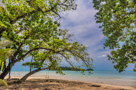 Trees on Kai Bae Beach under a glowy dramatic sky on Koh Chang Island in Thailand