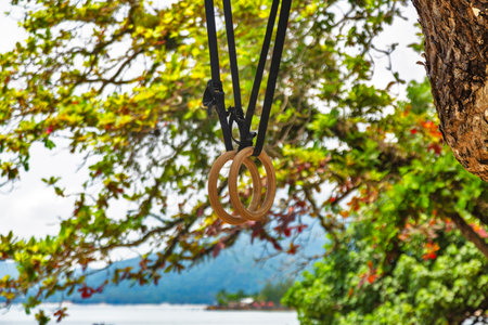 Gymnastic rings hang from a tree on Kai Bae Beach on Koh Chang Island, Thailandの写真素材