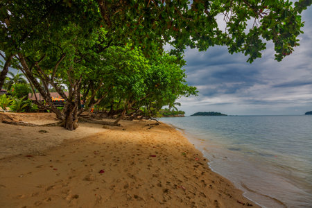 Trees on Kai Bae Beach under a glowy dramatic sky on Koh Chang Island in Thailandの写真素材