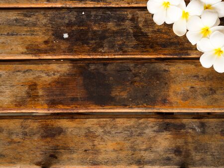Plumeria flower on wooden backgroundの写真素材