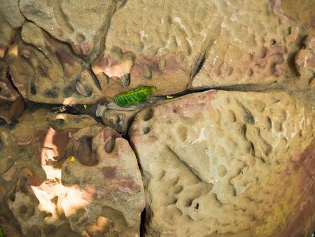 Rock backgroundの写真素材