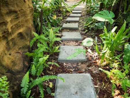Pathway in the gardenの写真素材