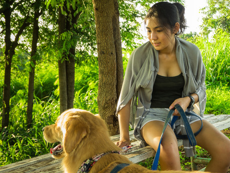 Golden retriever and Asian woman are playing in the parkの写真素材