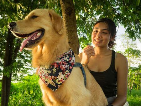 Golden retriever and Asian woman are playing in the parkの写真素材