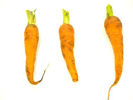 Three baby carrot on isolated white backgroundの写真素材