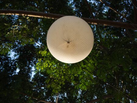 Balloon lamp on the treeの写真素材