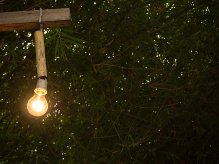 Wooden lamp hanging on the wood, bamboo tunnel backgroundの写真素材