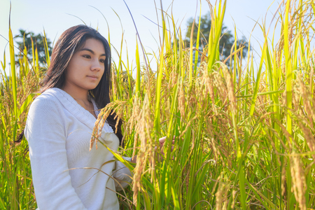 Beautiful young asian woman in the green rice fields meadowの写真素材