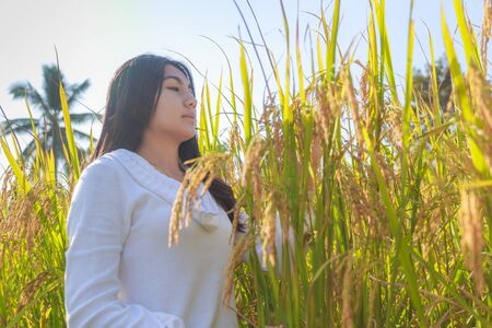 Beautiful young asian woman in the green rice fields meadowの写真素材