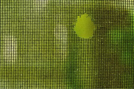 Through a Screendoor 1