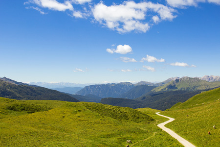 Dirt road in mountain meadowsの写真素材