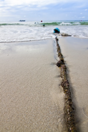beach and tropical seaの写真素材