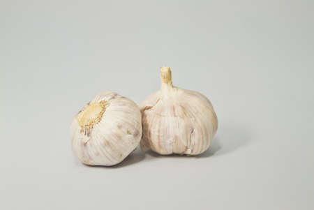 garlics on white background の写真素材