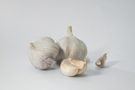 garlics on white background の写真素材
