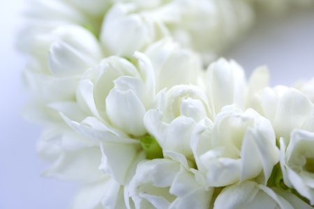 Close up Thai worship garlandの写真素材