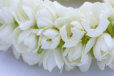 Close up Thai worship garlandの写真素材