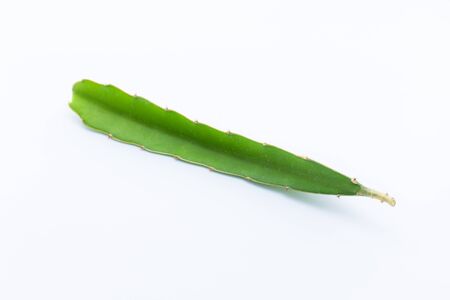 dragon fruitの写真素材