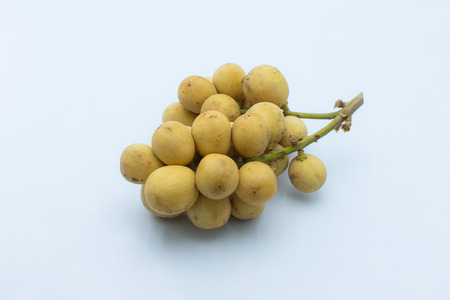 Wollongong fruitsの写真素材