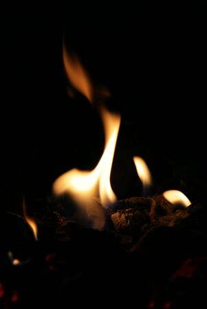 Flame of a fire on a black background