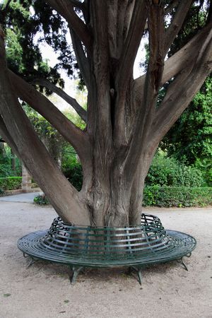 Bench round a tree trunkの写真素材