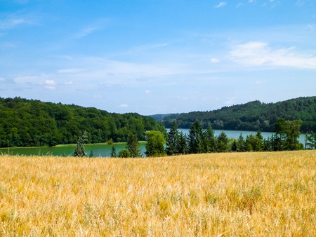 Landscape of oat field and Ostrzyckie lake, Wiezyca, Kashubian Region, Poland. Nature and agriculture concept.の写真素材