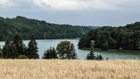 Landscape of oat field and Ostrzyckie lake, Wiezyca, Kashubian Region, Poland. Nature and agriculture concept.の写真素材
