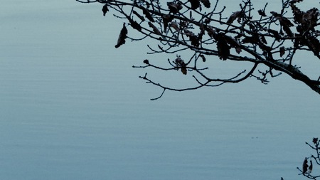 Abstract photo of autumn branch as nature background. Abstract filter toned, copy space.の写真素材