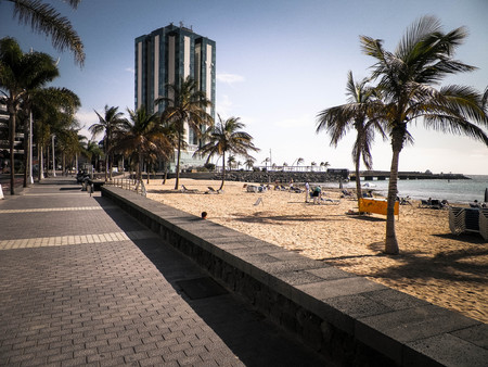 Coast of Arrecife, capital city of Lanzarote island, Canarian Is. Beach, palms as tropical nature and modern buildings in a background.の写真素材