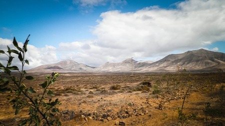 Desert - Typical landscape of Lanzarote, Canary Islands. Travel and nature concept.の写真素材