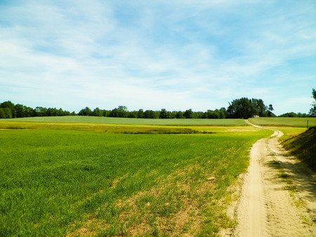 Country road and meadow in Tuchola Forest, Kashubia Region, Poland. Nature and agriculture concept.の写真素材