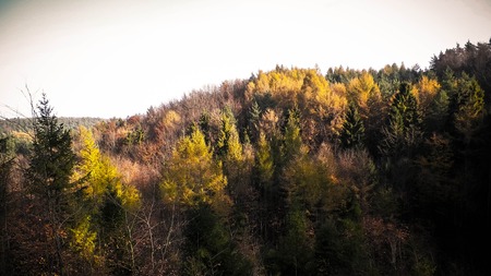 Autumnal forest landscape. Beauty of Polish nature - hills and gold leaves on trees.の写真素材