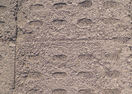Gray pavement tiles as background, close up, copy space.