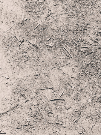 Brown ground as nature background. Toned image, copy space.の写真素材