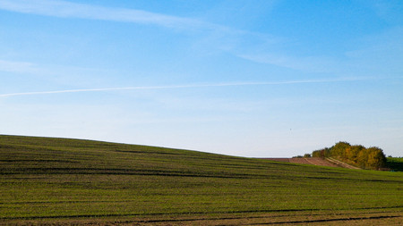 Green field on a background of blue sky. Copy space on blue sky. Sunny autumn day. Nature of Poland.の写真素材