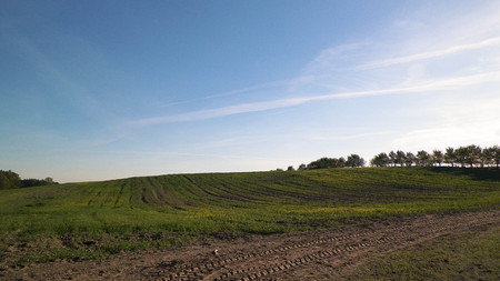 Green field on a background of blue sky. Copy space on blue sky. Sunny autumn day. Nature of Poland.の写真素材