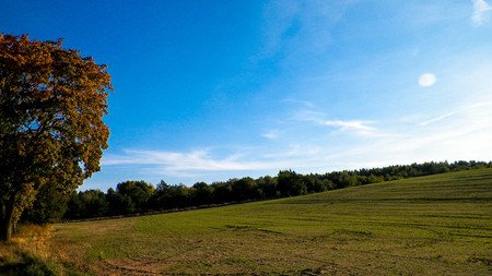 End of summer - autumn trees and fields. Polish nature. copy space on blue sky. Mechelinki, Poland.の写真素材