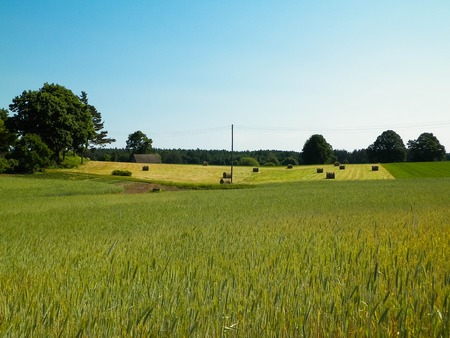 Sheaves of hay on meadow on Kashubian village. Nature and agriculture concept.の写真素材