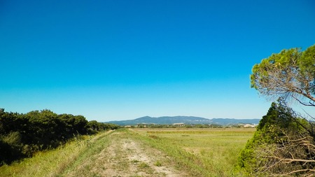 Tuscany, view of meadow and Apennines in the background. Summer in Tuscany, Italy.の写真素材