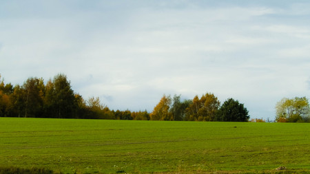 Green field on an autumn day. Nature of Kashubia, northern Poland. Copy space on cloudy sky.の写真素材