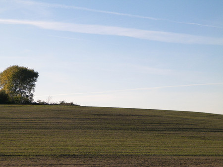 Wnd of summer - autumn trees and fields. Polish nature. copy space on blue sky. Mechelinki, Poland.の写真素材