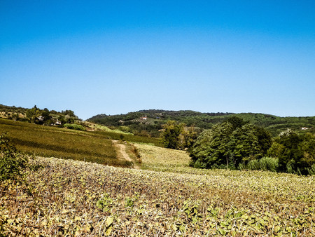 Hills, fields and meadows - typical views of Tuscany. Travel, nature and agriculture concept. Vacations in Italy.の写真素材