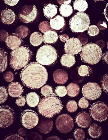 Wooden beams as nature background. Forest clearance -environmental protection and agriculture concept.の写真素材