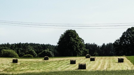 Sheaves of hay on meadow on Kashubian village. Nature and agriculture concept.の写真素材