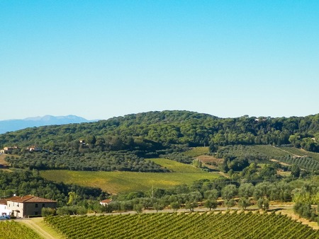 Landscape of the Tuscan vineyards in sunny day. Nature and agriculture concept. Vacations in Italy. Copy space.の写真素材