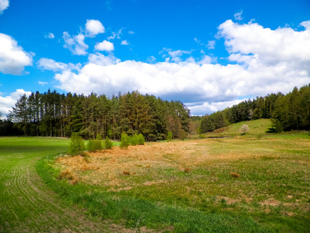 Forest and meadows - Beauty of Kashubia, Northern Poland. Travel and nature concept.の写真素材