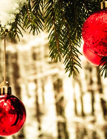 Christmass ball on tree twig. Christmas time. Copy space.の写真素材