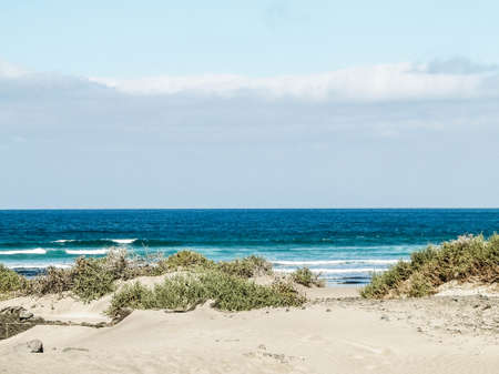 Beach and Atlantic Ocean in Caleta de Famara, Lanzarote Canary Islands. Beach in Caleta de Famara is very popular among surfers. Copy space.の写真素材