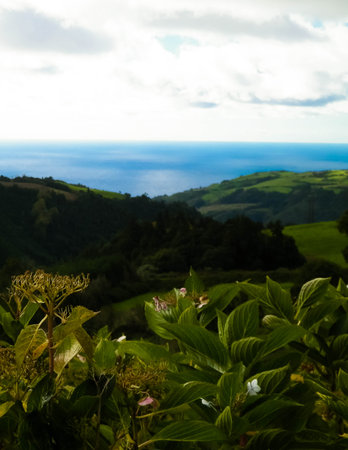 Beautiful wild nature of Sao Miguel, Azores islands. Atlantic Ocean in a background. Azores is a...